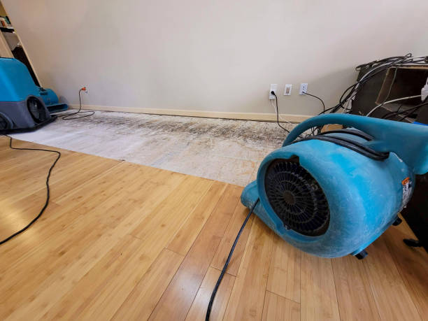 Professional Basement Flood Cleanup technician working in Sylmar, CA